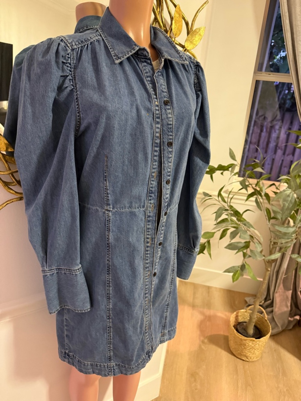 Frame Denim Voluminous Puff Long Sleeve Eugenia Mini Dress